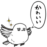 843025286