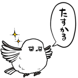 843025293