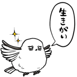 843025294