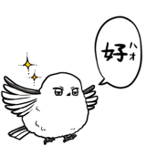 843025295