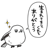 843025309