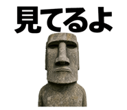843025567