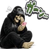 843026428
