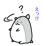 843026535
