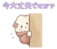 843026956