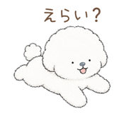 843027884