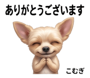 843027916