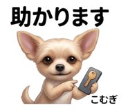843027921