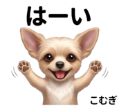 843027924