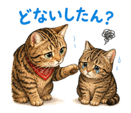 843028206