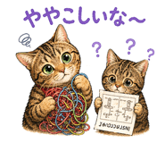 843028209