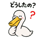 843029752