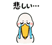 843029757