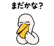 843029763
