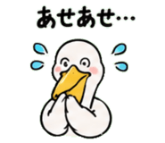 843029767