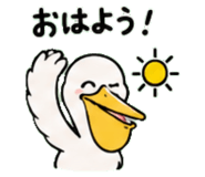 843029777