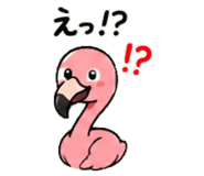 843029966
