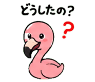 843029968