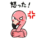 843029975