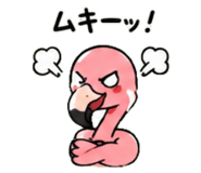 843029976