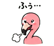 843029977
