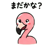 843029979