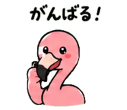 843029984
