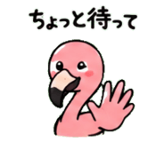 843029987