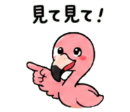843029995