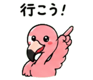 843029998