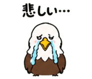 843030013