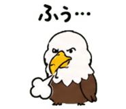 843030017