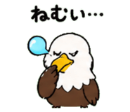 843030018