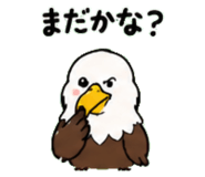 843030019