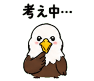 843030020