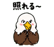 843030022