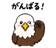 843030024