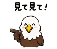 843030035