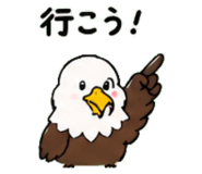843030038