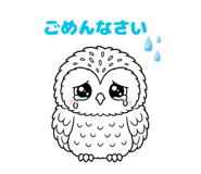843030046