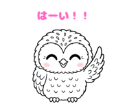843030049