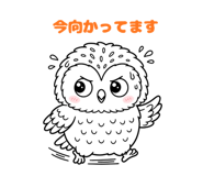 843030051