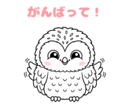 843030053