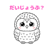 843030055
