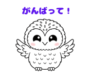843030056