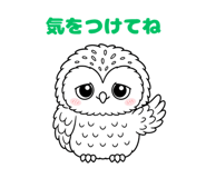 843030060