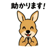 843030146
