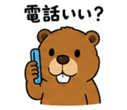843030404