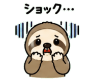 843030507