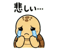 843030529
